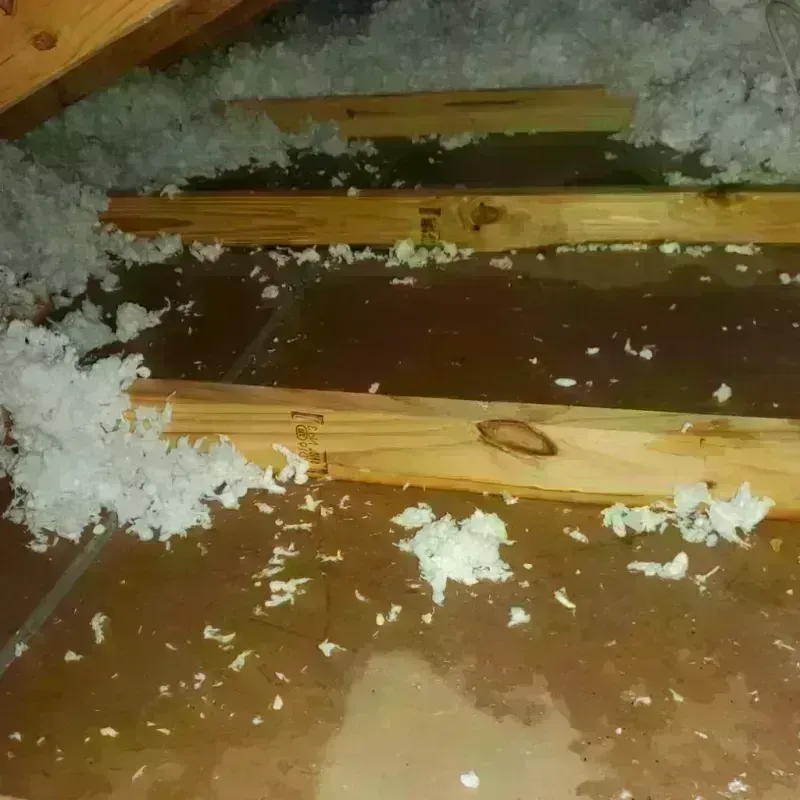 Attic Water Damage in Bressler, PA